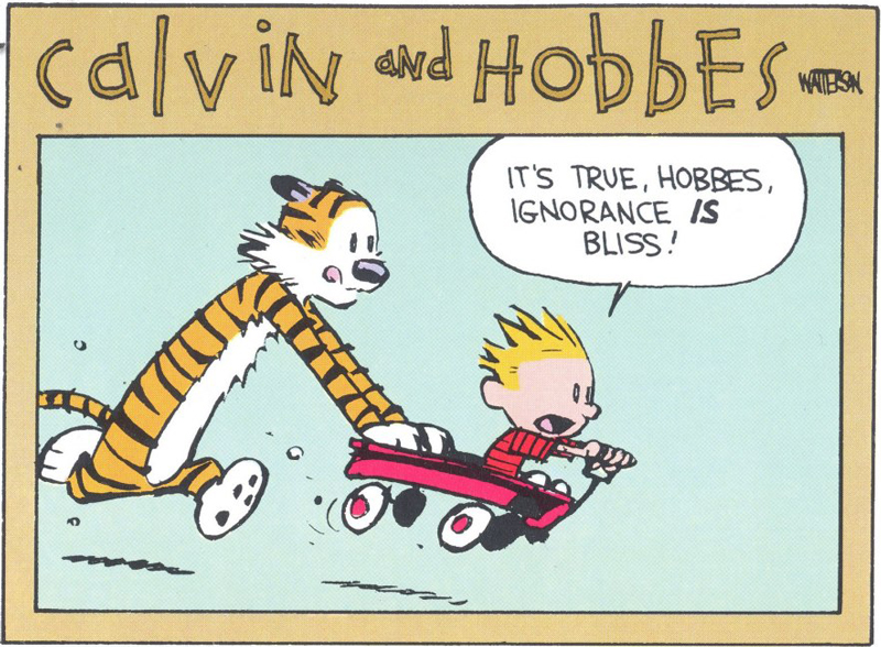 Ignorance is bliss from Calvin and Hobbes by Bill Watterson