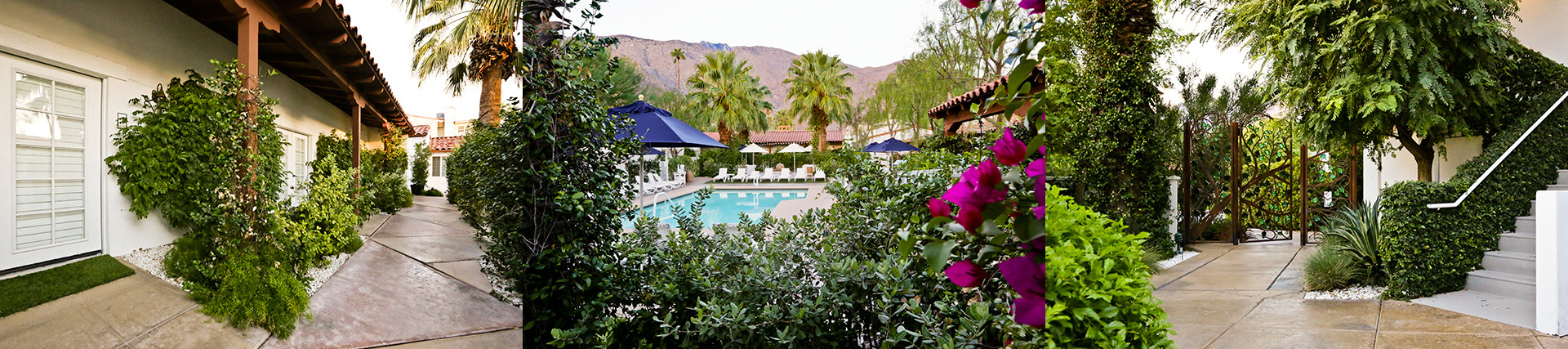 Alcazar Hotel Palm Springs 4